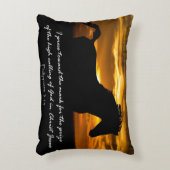 私は聖書の聖句マークに向かって押し進める アクセントクッション (正面(垂直))