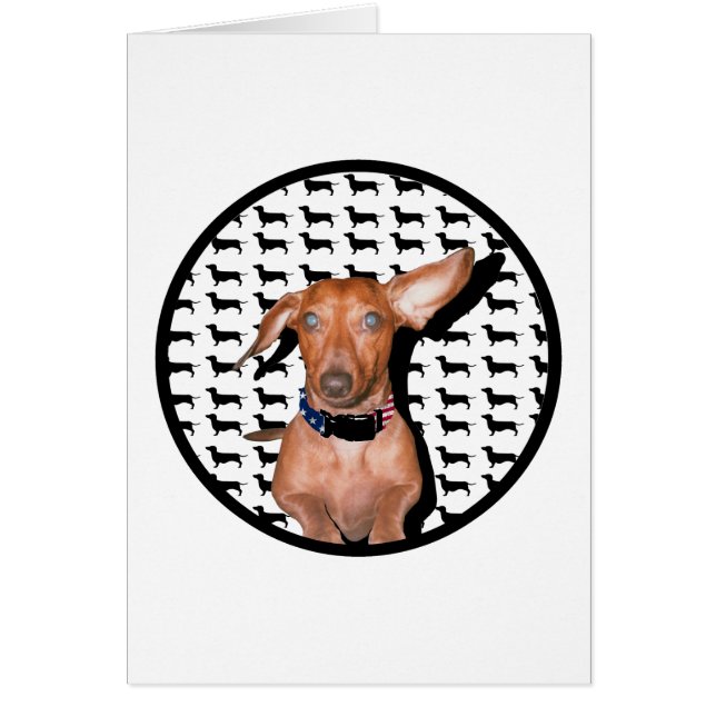 私は聞くことができます (正面)