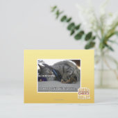 私は聞だ ポストカード (スタンド正面)