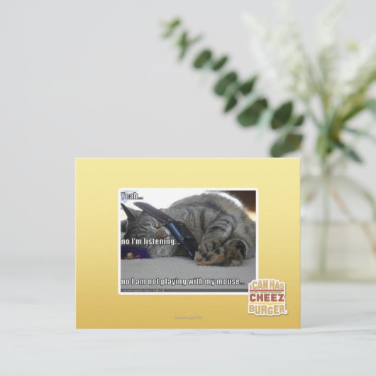 私は聞だ ポストカード (スタンド正面)