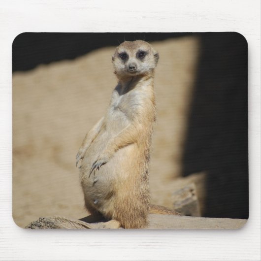 私は脂肪質に見ますか。 マウスパッド (正面)