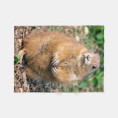 私は脂肪質、私です愛らしいフリースブランケットではないです フリースブランケット (正面(横))