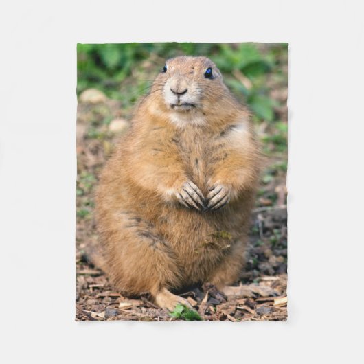 私は脂肪質、私です愛らしいフリースブランケットではないです フリースブランケット (正面)