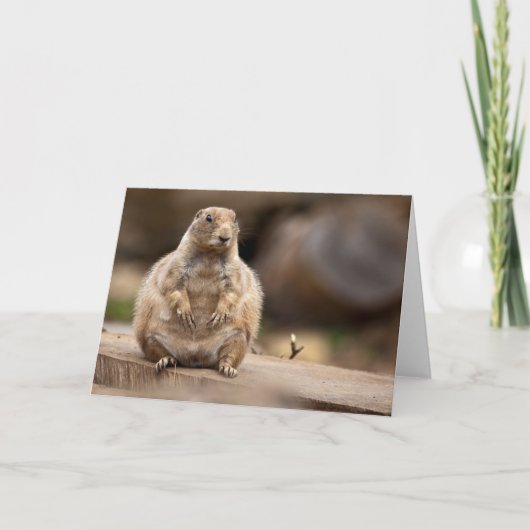 私は自分のウェイトカードが少し足りない カード (正面)