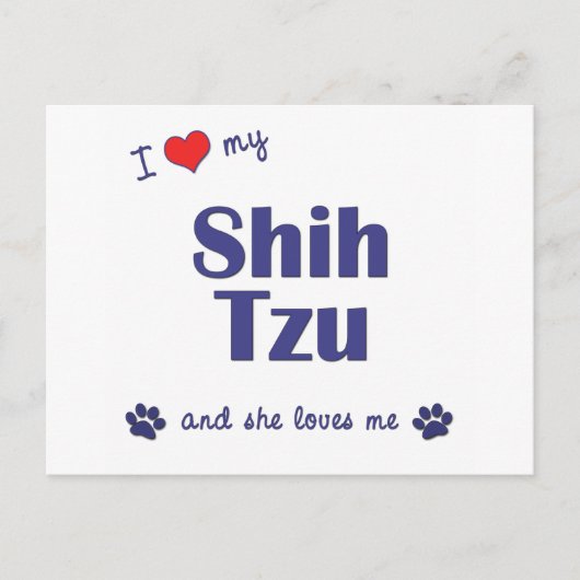 私は自分のシーズー(犬)Tzuが大好き ポストカード (正面)