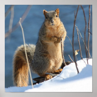 私は自分の頭を持っ失ったているようだ！ ポスター