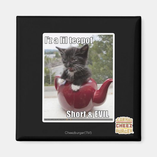 私は自由なティーポットだ マグネット (正面)