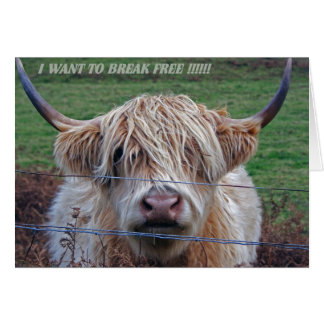 私は自由に壊れたいと思います