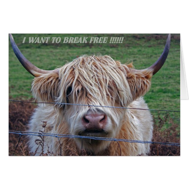 私は自由に壊れたいと思います (正面横)