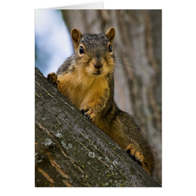 私は興味を起こさせられるかもしれません (正面)