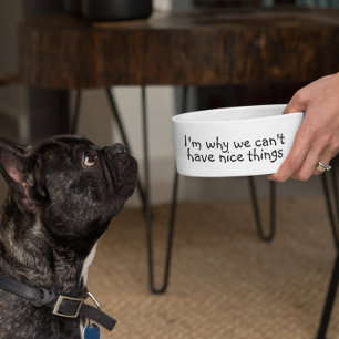 私は良いものを持つことができないおもしろい理由 ボウル