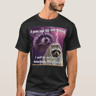 私は良いアライグマミームのシャツを持っている Tシャツ