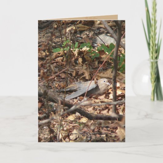 私は葉、実際にです カード (正面)