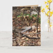 私は葉、実際にです カード (黄色い花)