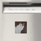 私は行わなかった マグネット (インサイチュ (食洗機))