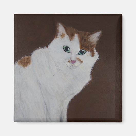 私は行わなかった マグネット (正面)