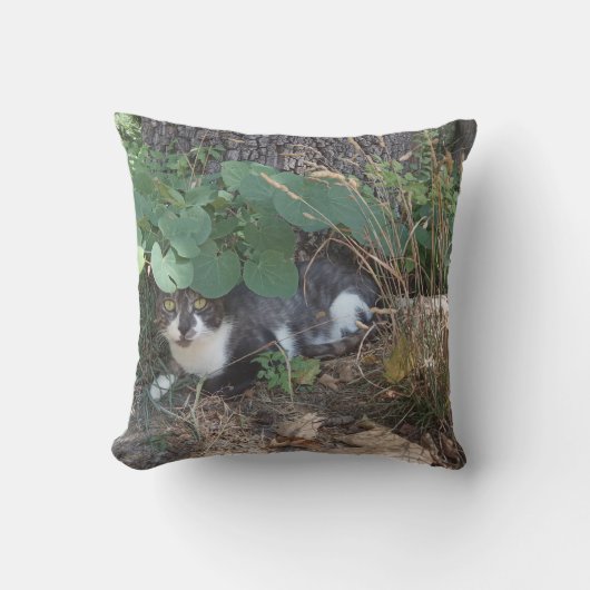 私は見えない猫だ アウトドアクッション (正面)