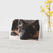 私は見ています カード (黄色い花)