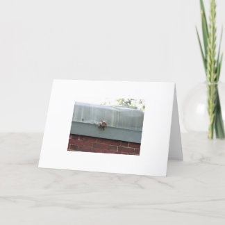 私は見ています カード