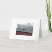 私は見ています カード (正面)