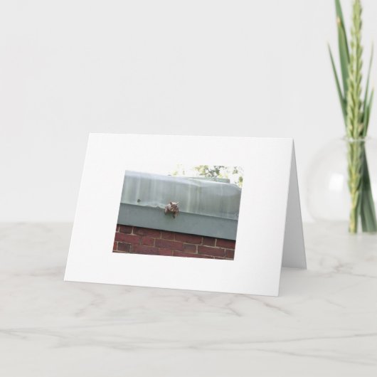 私は見ています カード (正面)