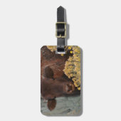 私は賢人を愛します ラゲッジタグ (正面縦)