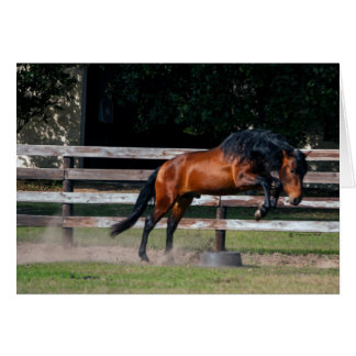 私は跳んでもいいです