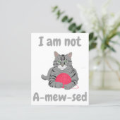 私は酔っていない。猫おもしろいチョンティー (スタンド正面)