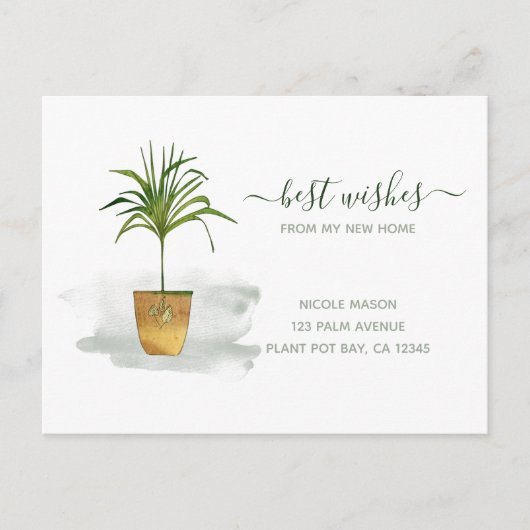 私は鉢植えのヤシの木を動かす発表を移動した ポストカード (正面)