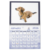 私は長い髪のミニチュアダックスフントが大好き カレンダー (1月 2026)