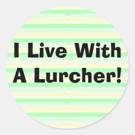 私は隠れステッカーで生活している ラウンドシール (正面)