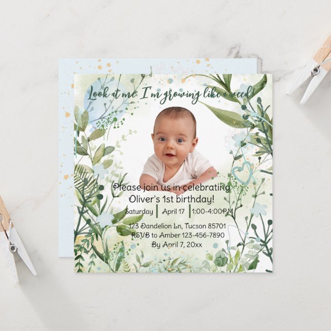 私は雑草のように育っている、最初の誕生日の男の子。 (正面/裏面インサイチュ)