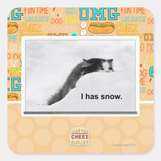 私は雪が降っている。 スクエアシール (正面)