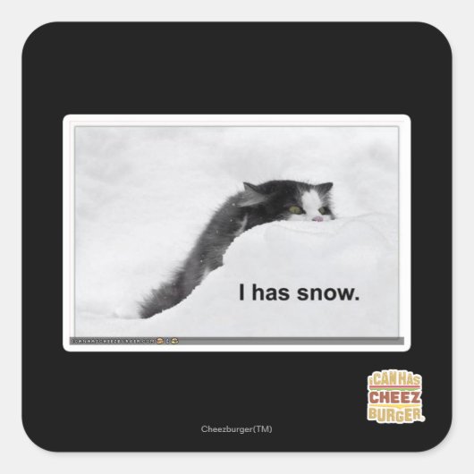 私は雪が降っている。 スクエアシール (正面)