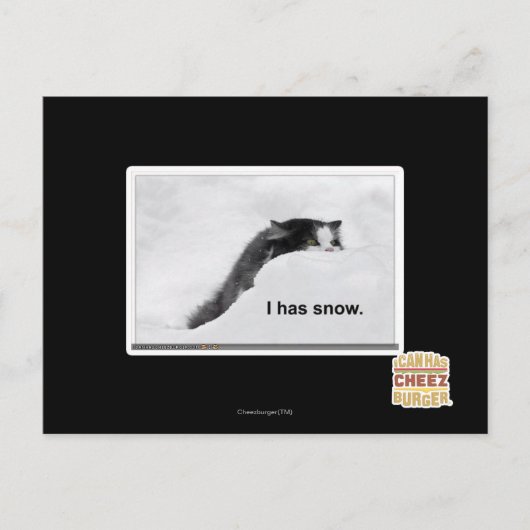 私は雪が降っている。 ポストカード (正面)