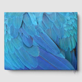 私は青い – オウムの羽を閉じて ゲストブック (裏面)