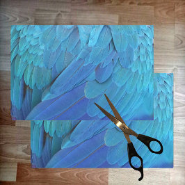 私は青い – オウムの羽を閉じて 薄葉紙