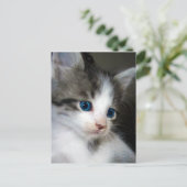 私は頭からつま先まで可愛い ポストカード (スタンド正面)