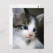 私は頭からつま先まで可愛い ポストカード (正面/裏面)