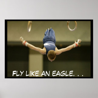 私は飛べる ポスター