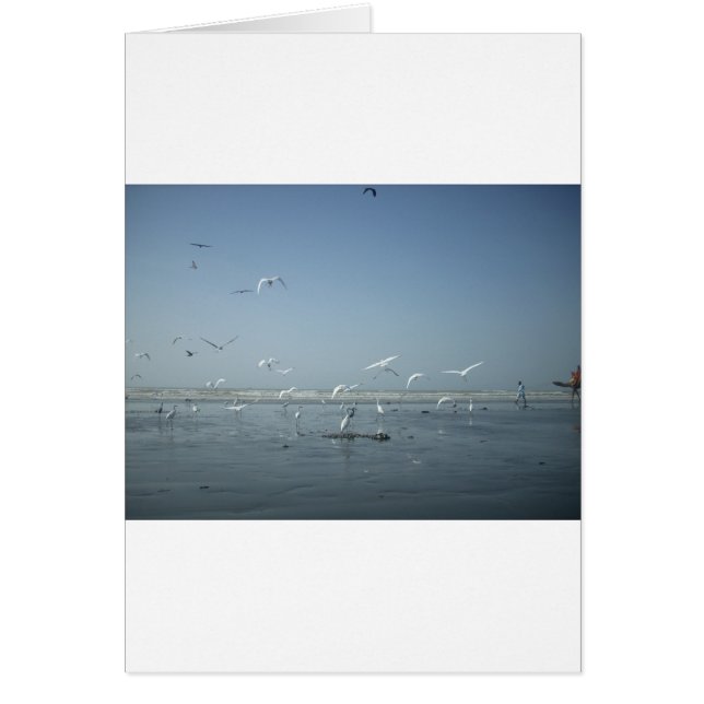 私は飛んでいる (正面)