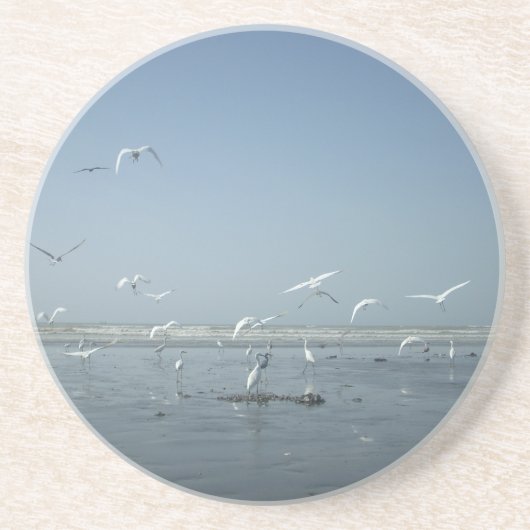 私は飛んでいる コースター (正面)