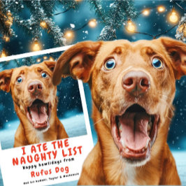 私は食べリスいけなト犬のクリスマス写真 シーズンカード