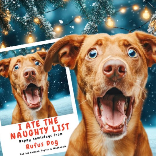 私は食べリスいけなト犬のクリスマス写真 シーズンカード