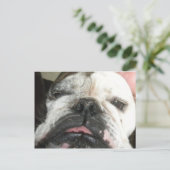 私は飲むやめ必要がある。 ポストカード (スタンド正面)