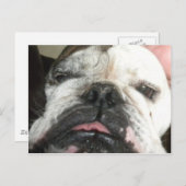 私は飲むやめ必要がある。 ポストカード (正面/裏面)