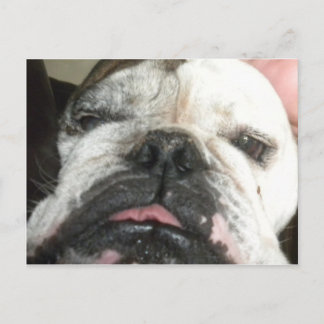 私は飲むやめ必要がある。 ポストカード