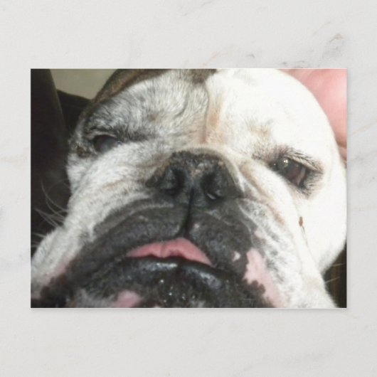 私は飲むやめ必要がある。 ポストカード (正面)