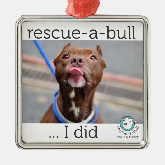 私は飾りました(カスタマイズ可能) メタルオーナメント (正面)