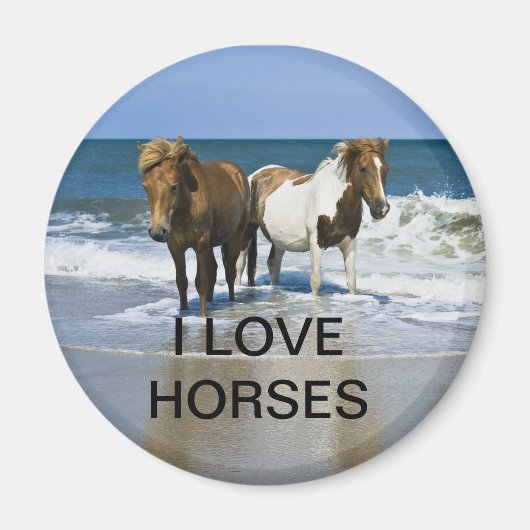 私は馬の磁石が大好き マグネット (正面)